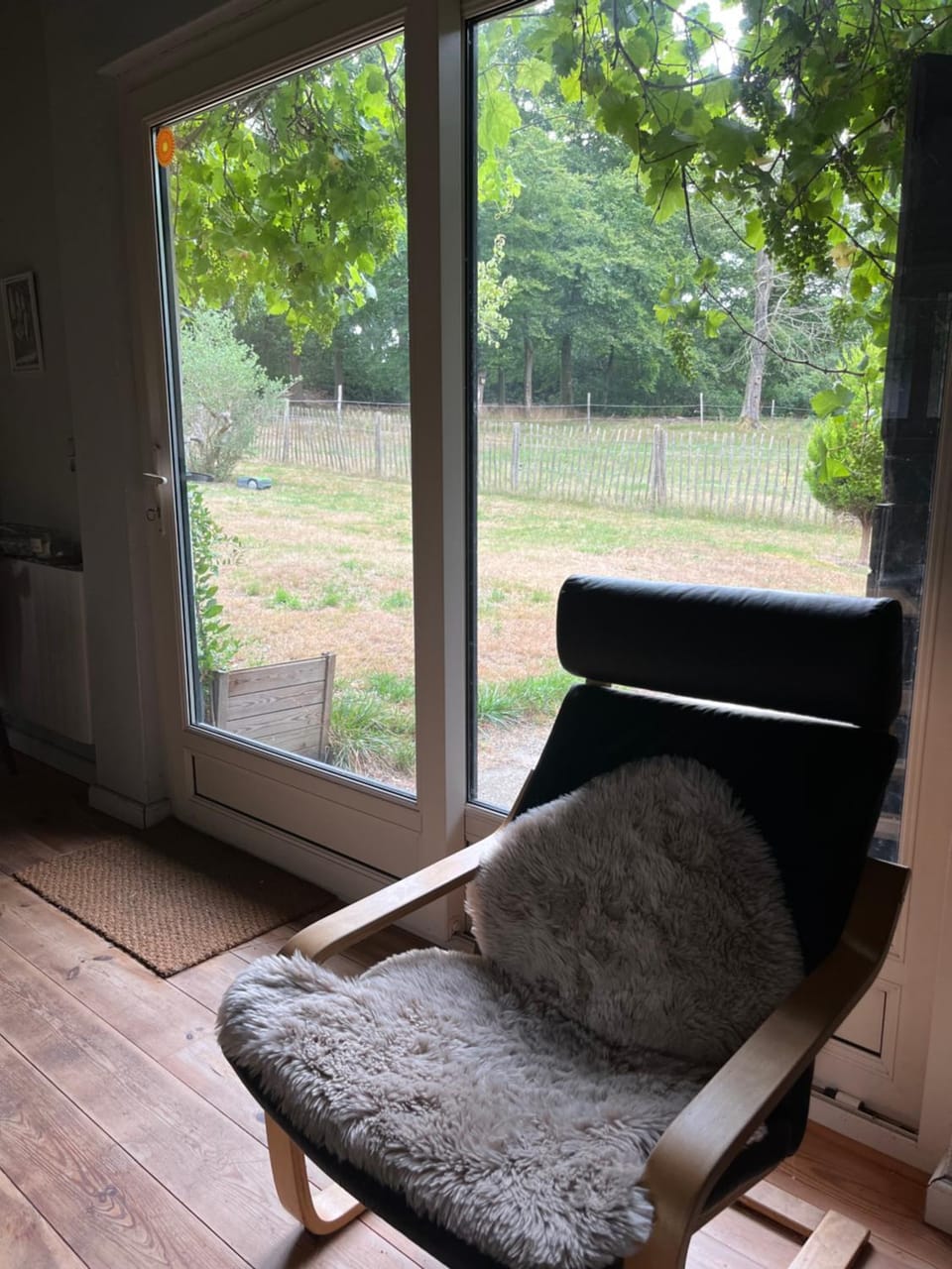 Living room, Garden view