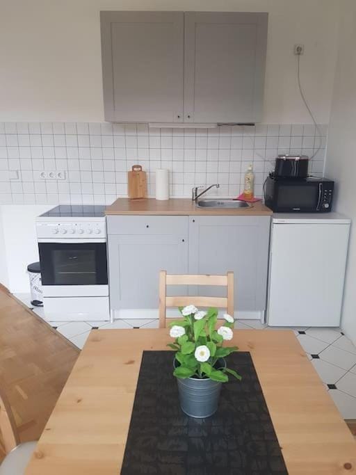 Studio in Dresden Neustadt Louisenstraße Apartment in Dresden-Neustadt