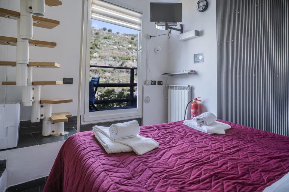 Cinque Terre, Sea View Home Apartment in Manarola