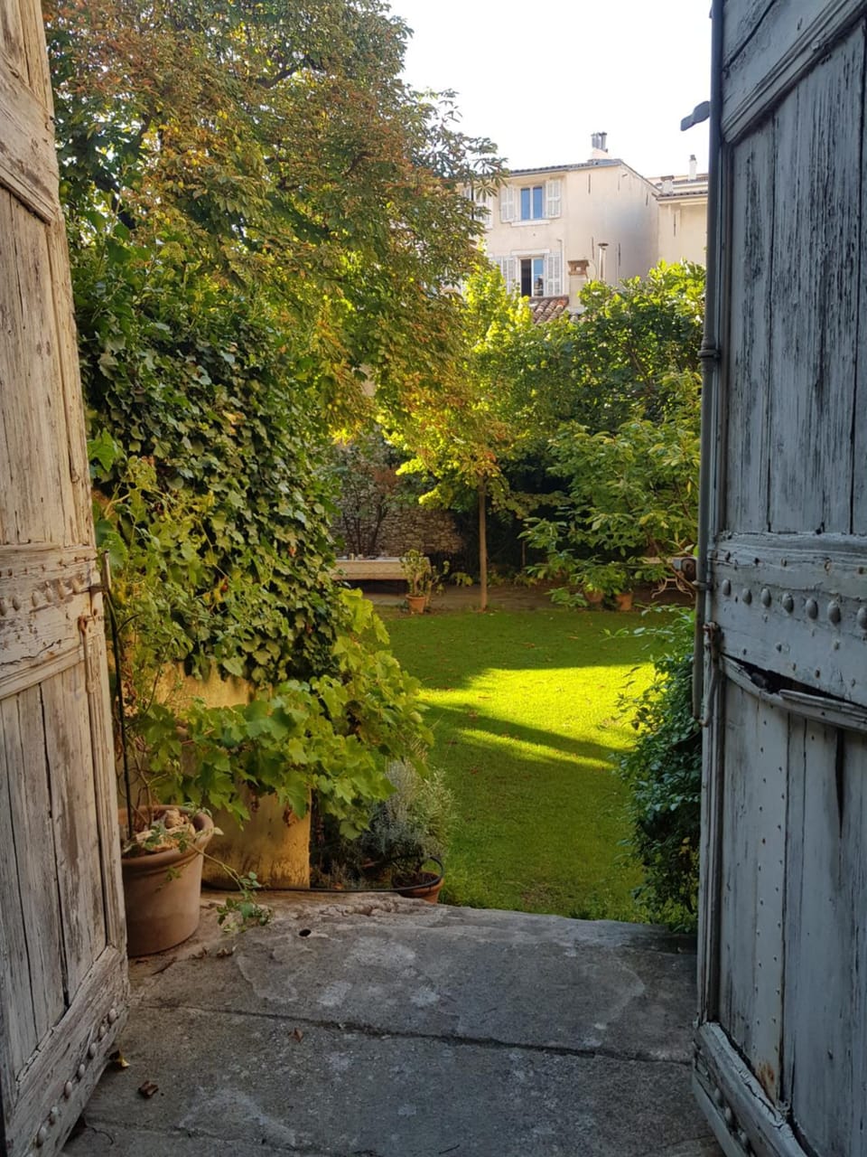 Garden, Garden, Garden view