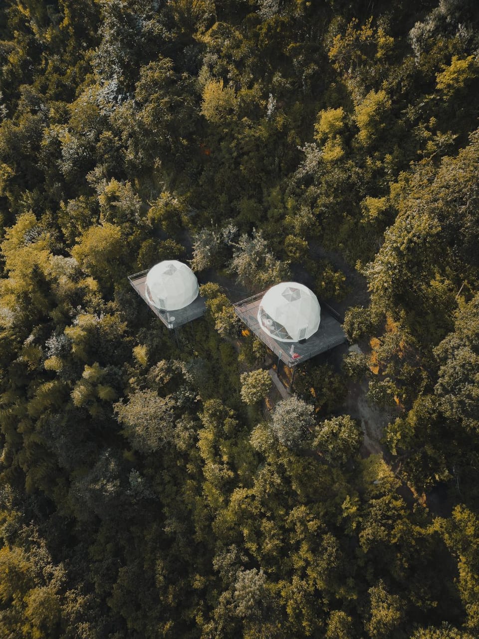 Mandarina - Cosmo Dome Luxury tent in Adjara, Georgia