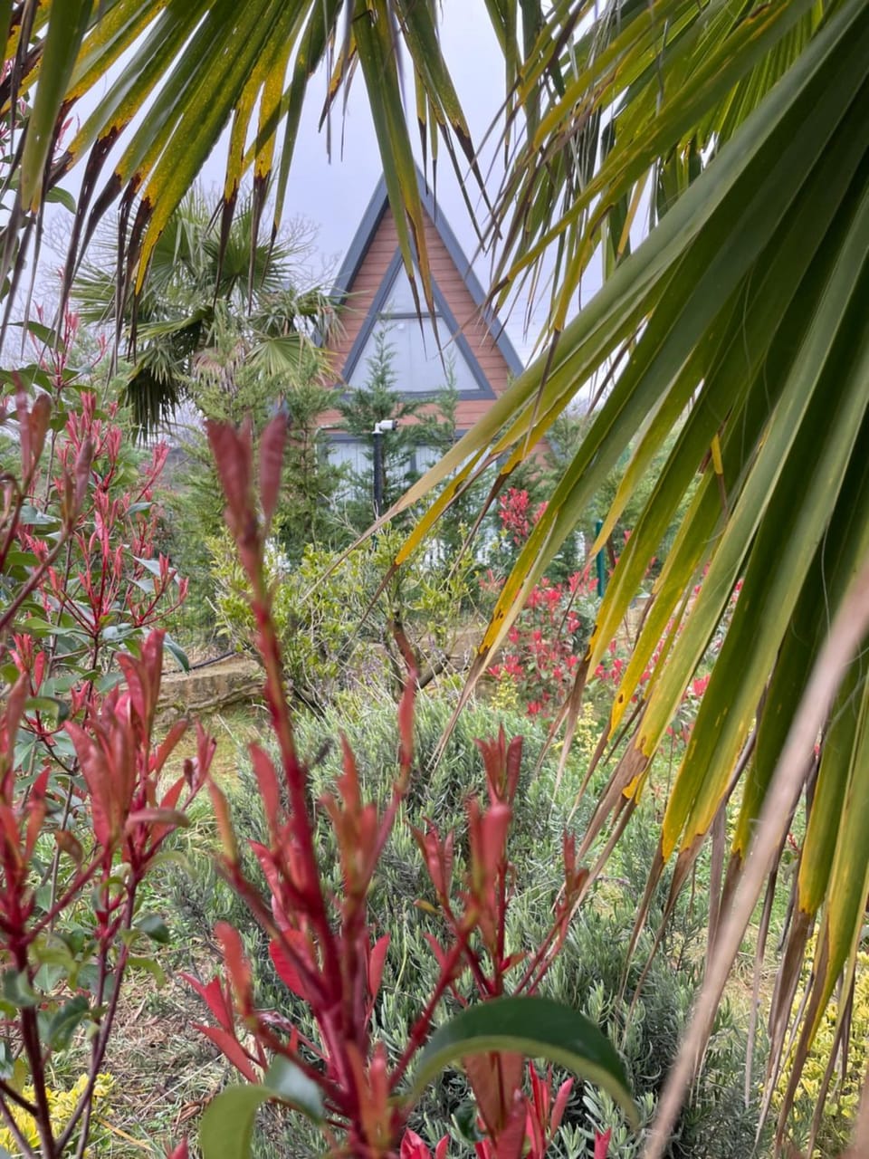 Natural landscape, Garden, Garden view