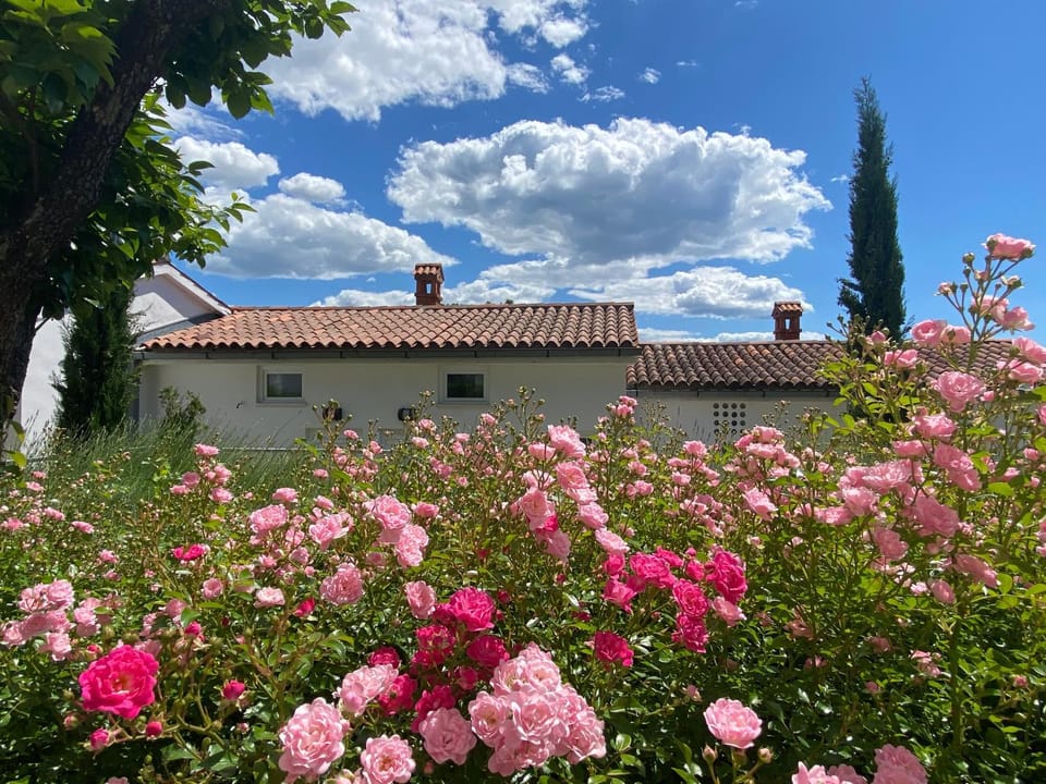 Property building, Spring, Day, Garden, Garden view