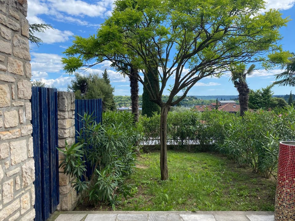 Day, Garden, Garden view