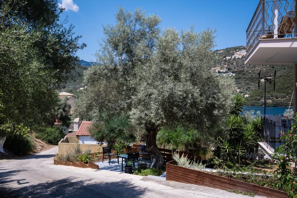 Property building, Day, Natural landscape, Garden, Garden view