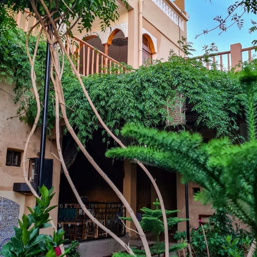 Oasis de Tiout Vacation rental in Souss-Massa