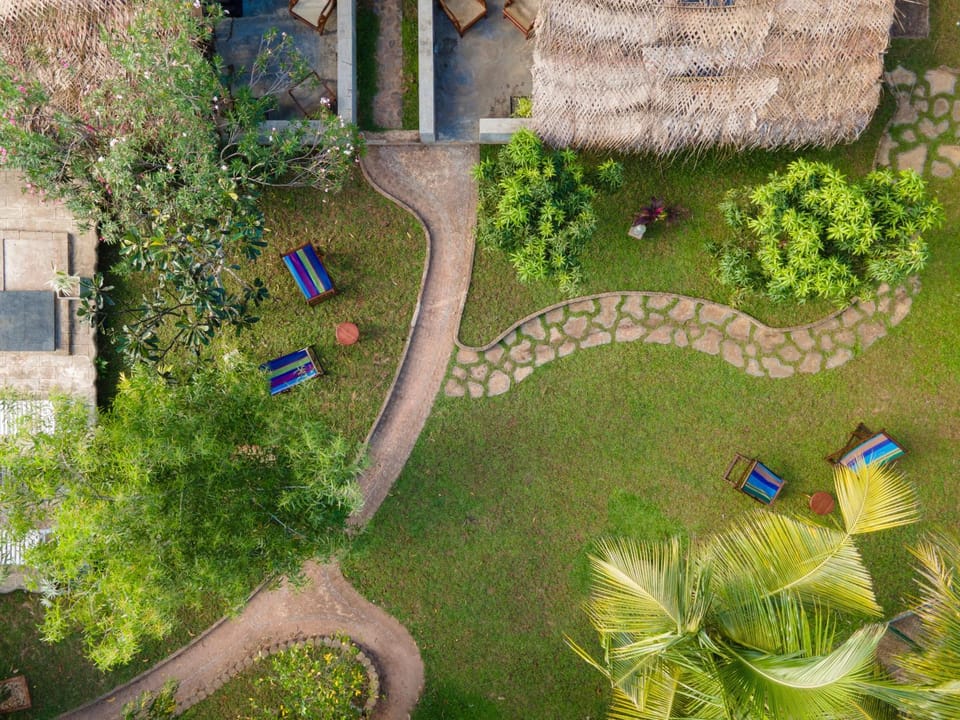 Day, Natural landscape, Bird's eye view, Garden, Garden view