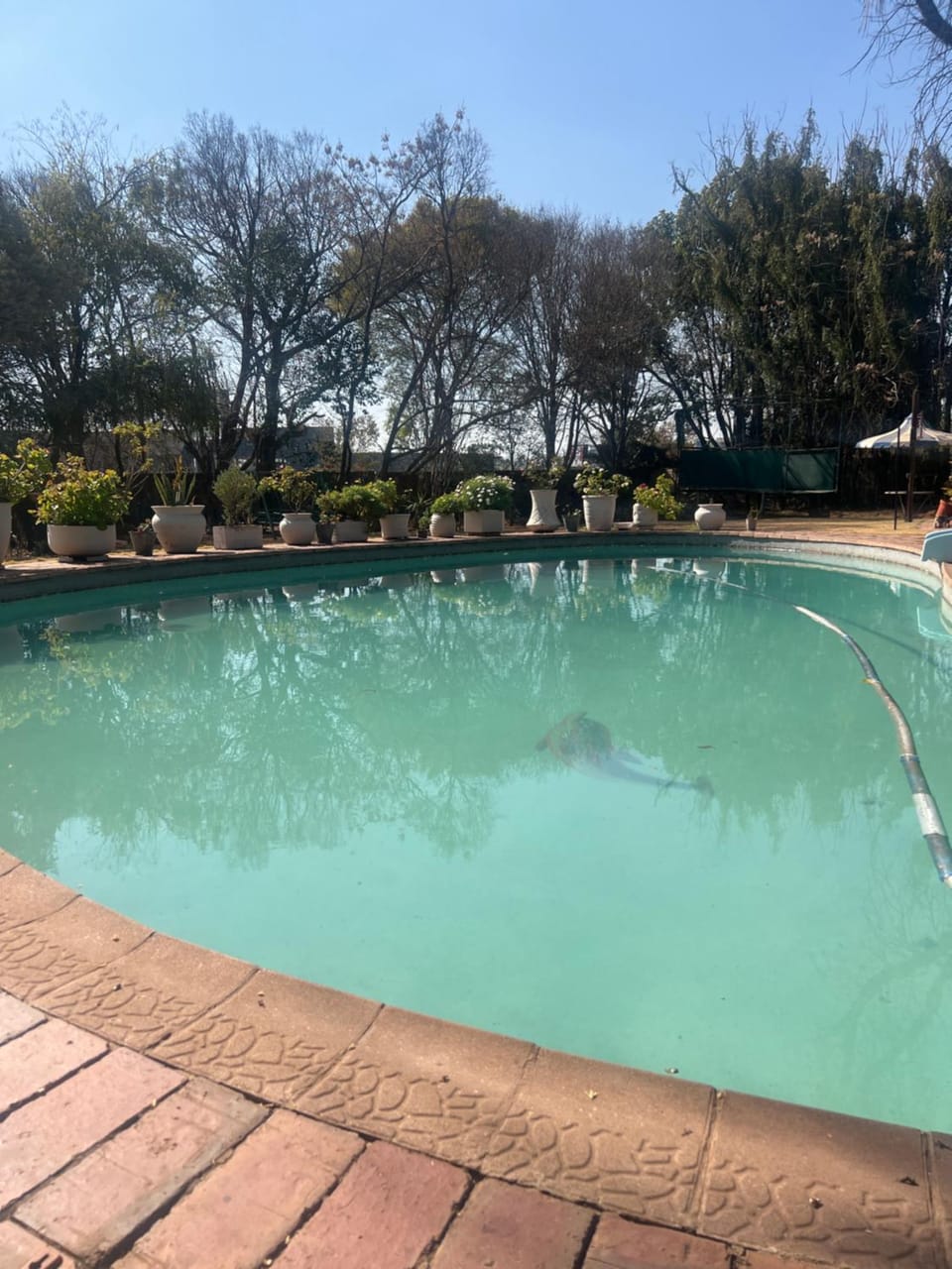 Day, Pool view, Swimming pool