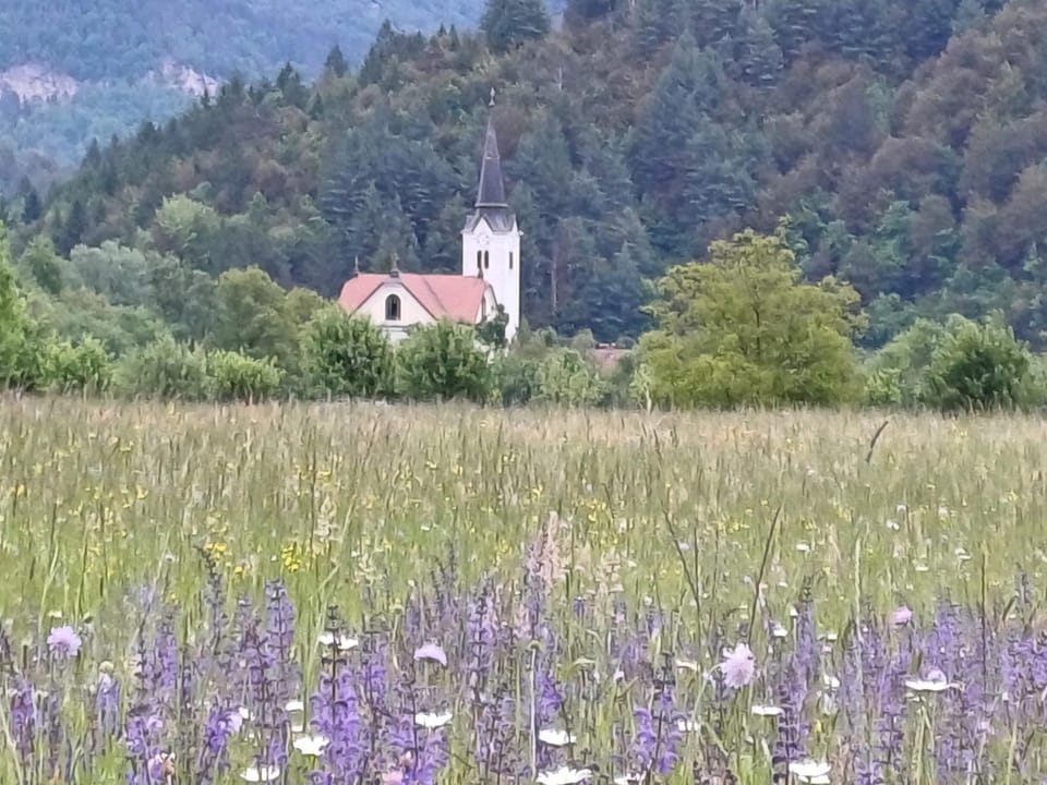 Nearby landmark