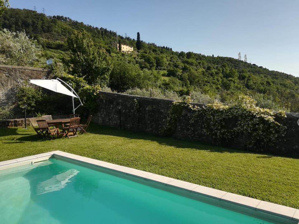 Patio, Garden, Garden view, Swimming pool