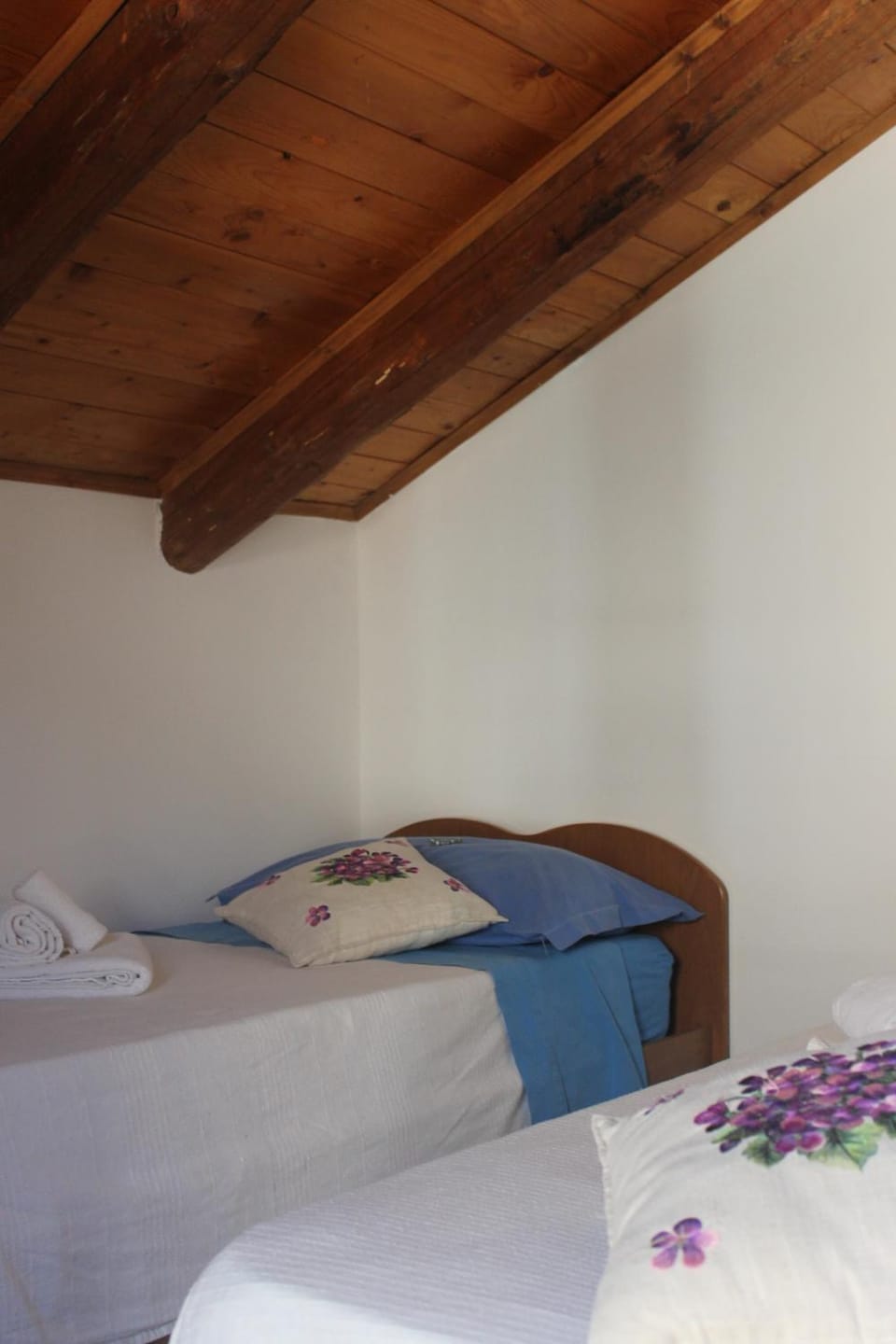 La Primula del Cervati - CASA VACANZE Bed and Breakfast in Campania
