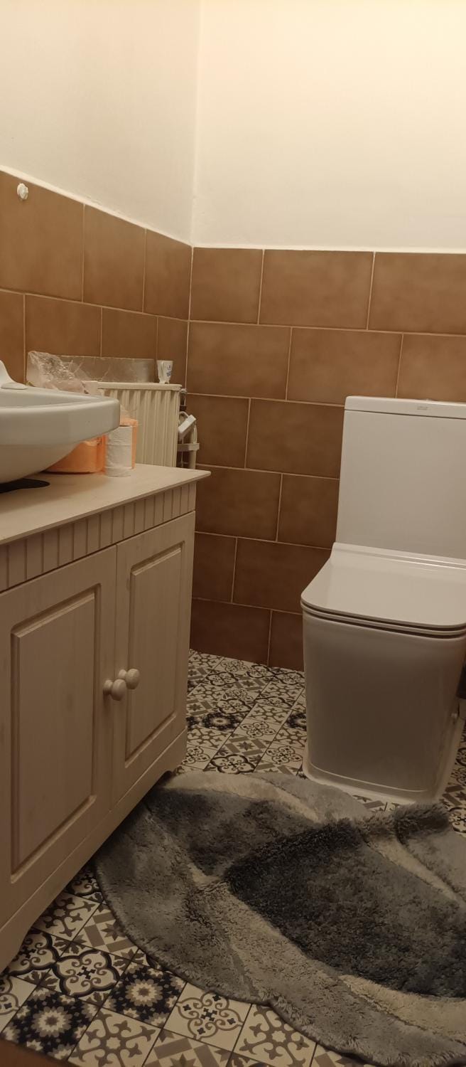 Toilet