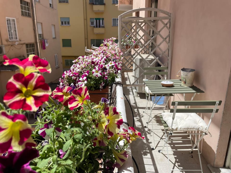 Spring, Balcony/Terrace, Balcony/Terrace, Dining area