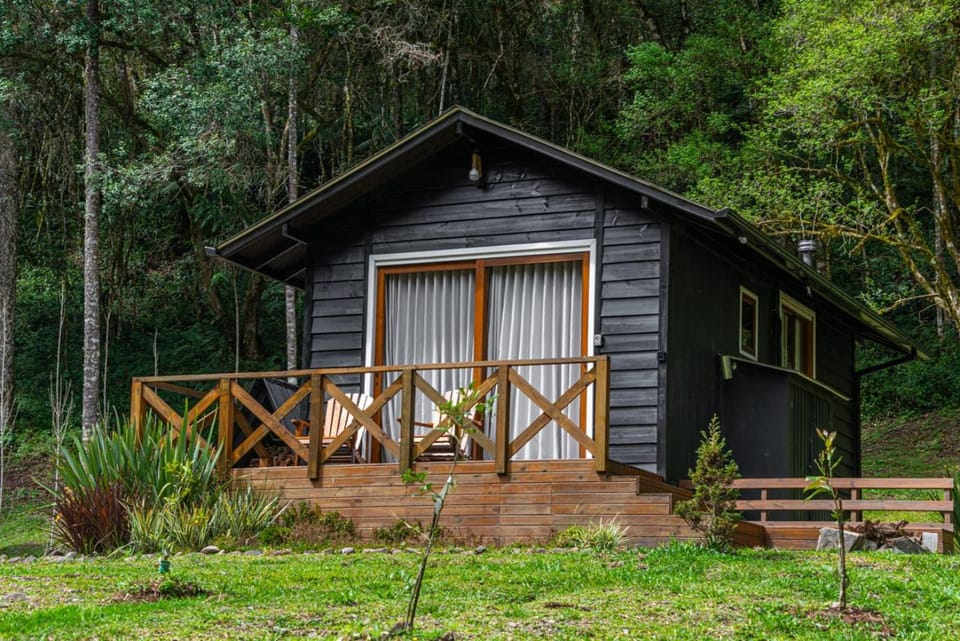 Property building, Garden view