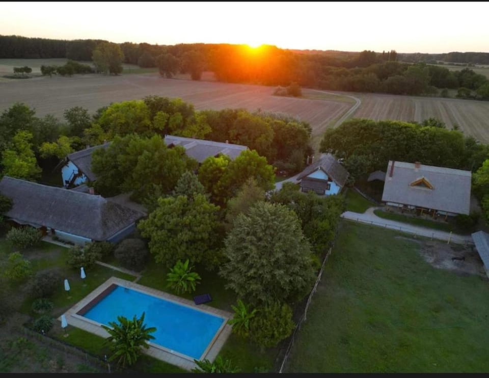 Property building, Natural landscape, Bird's eye view, Pool view, Swimming pool, Sunrise, sunbed