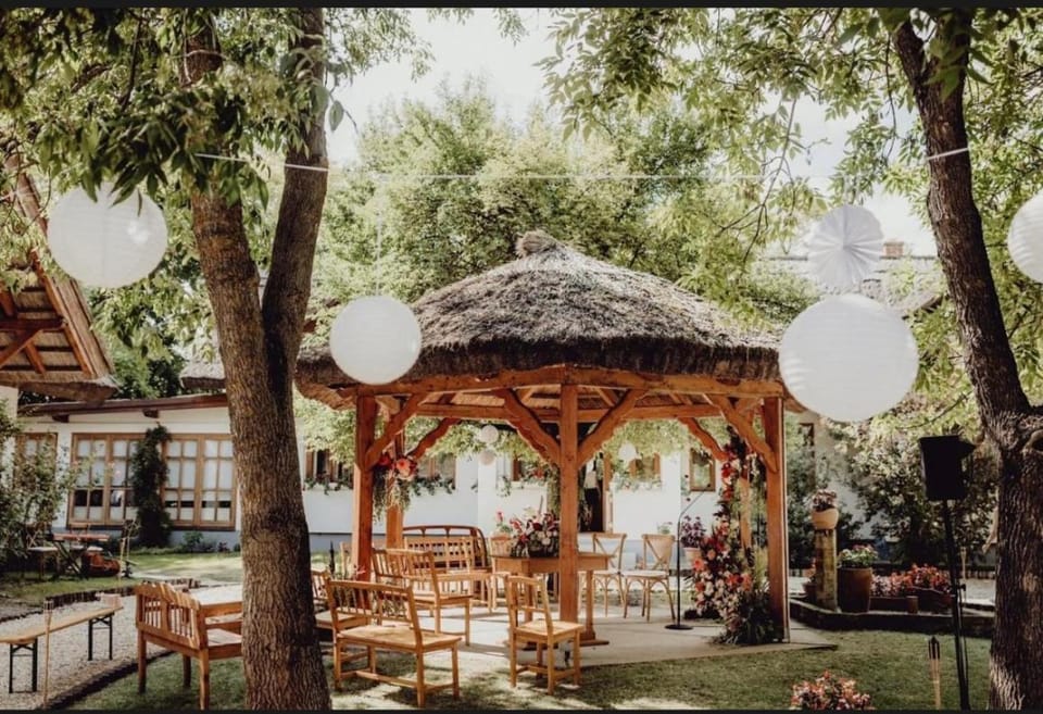 Patio, Garden, Garden view