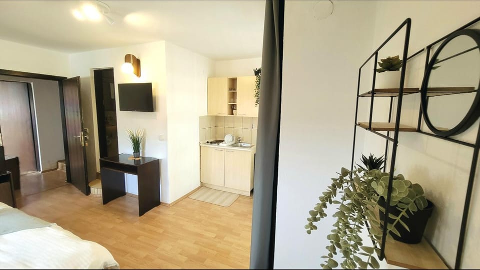 Bed, TV and multimedia, Coffee/tea facilities, Photo of the whole room, Decorative detail, Seating area, Dining area, Bedroom, wardrobe, kitchen