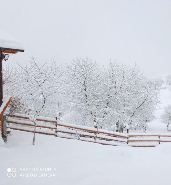 Natural landscape, Winter