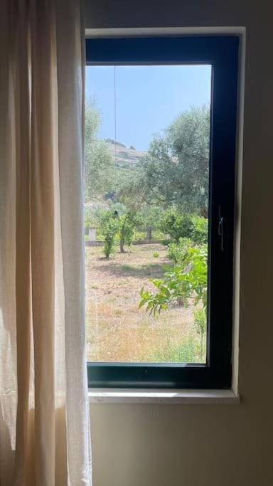 Day, Garden view