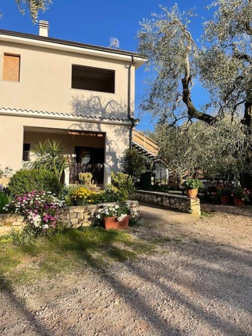 Property building, Garden