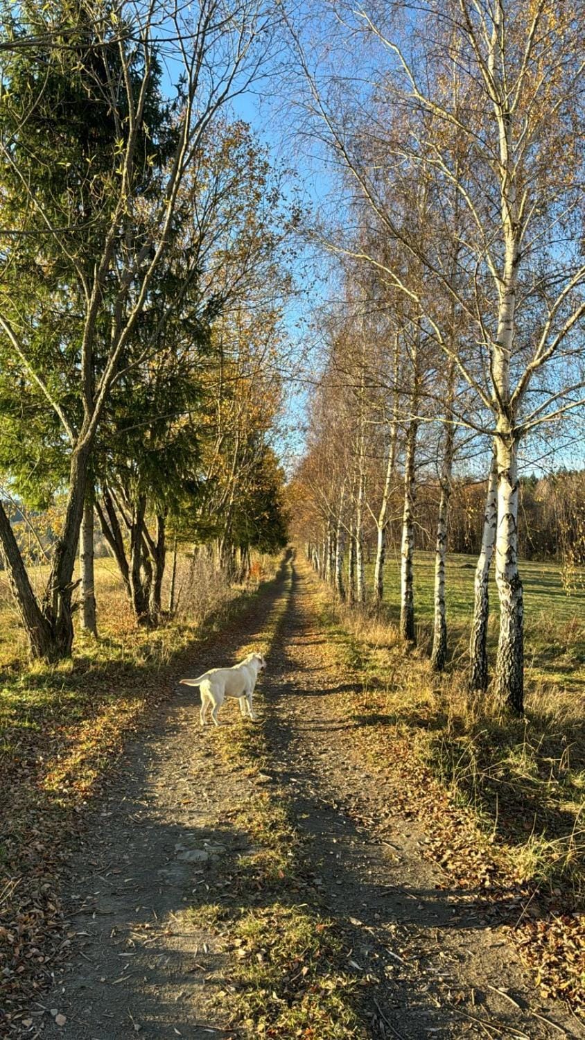 Natural landscape