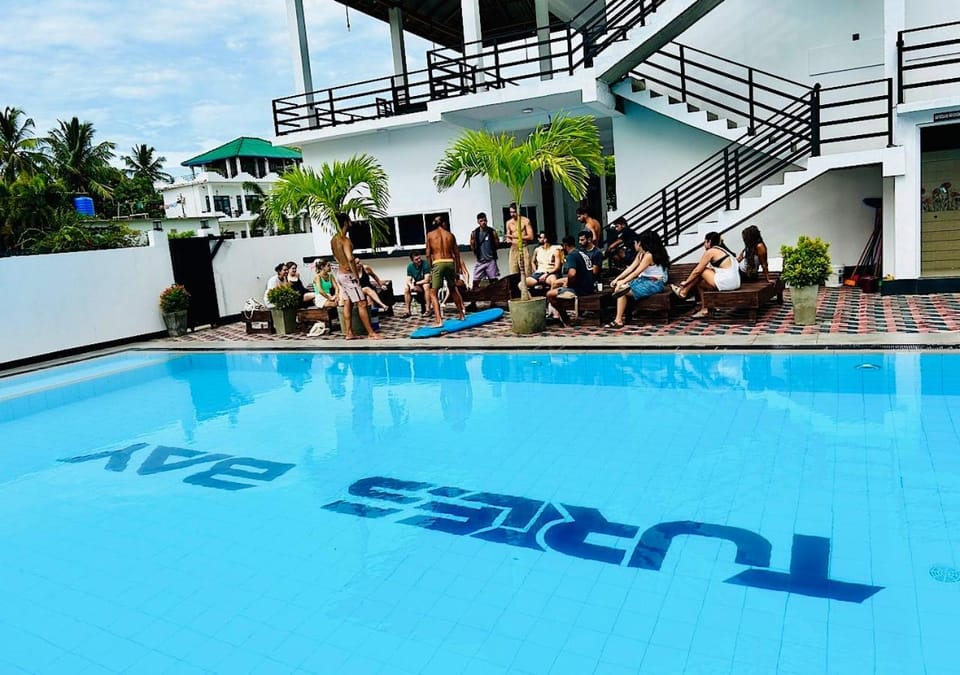 Day, People, Pool view, Swimming pool, Swimming pool, group of guests, sunbed