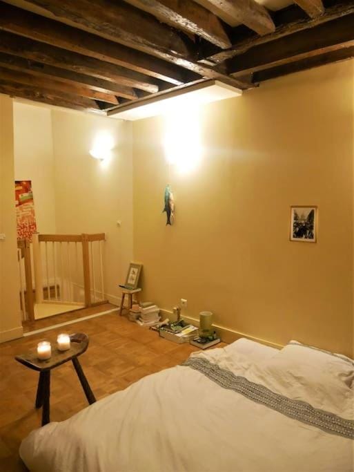 RARE Villa avec jardin privatif au centre de Paris Apartment in Paris