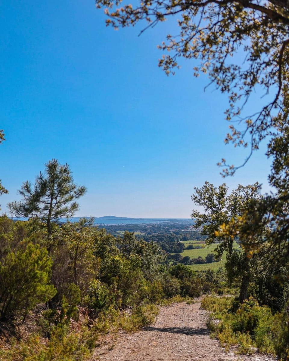 Nearby landmark, Natural landscape