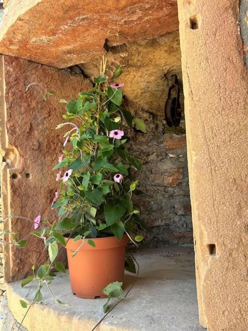 Les Murgers Au coeur des Vignes House in Bourgogne-Franche-Comté