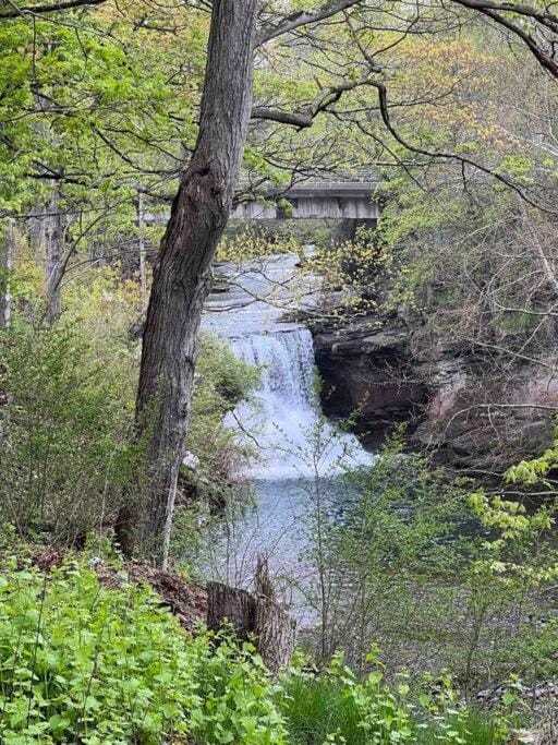 Cozy Waterfall Oasis - Close to Catskills House in Capital District, NY, USA