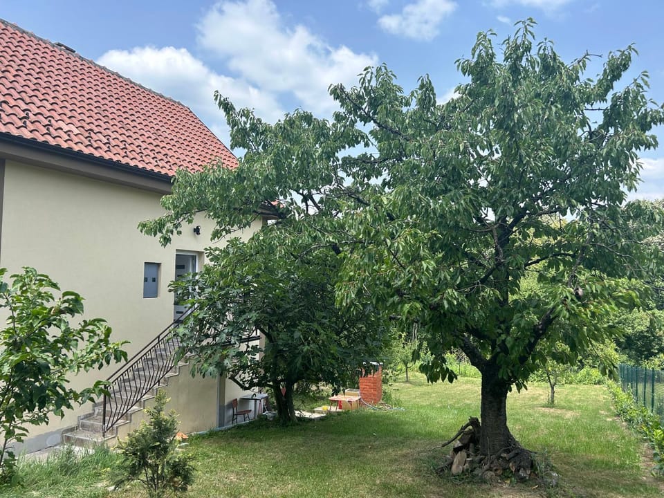 Kosmaj Ruža vetrova Apartment in Serbia