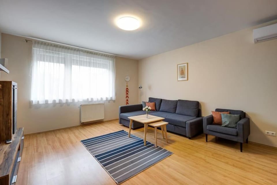 Living room, Seating area, air conditioner