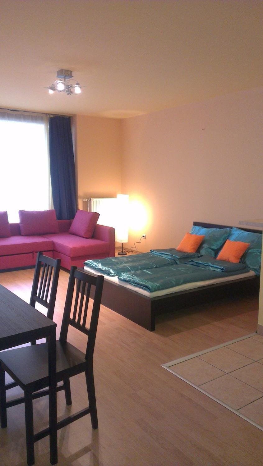 Photo of the whole room