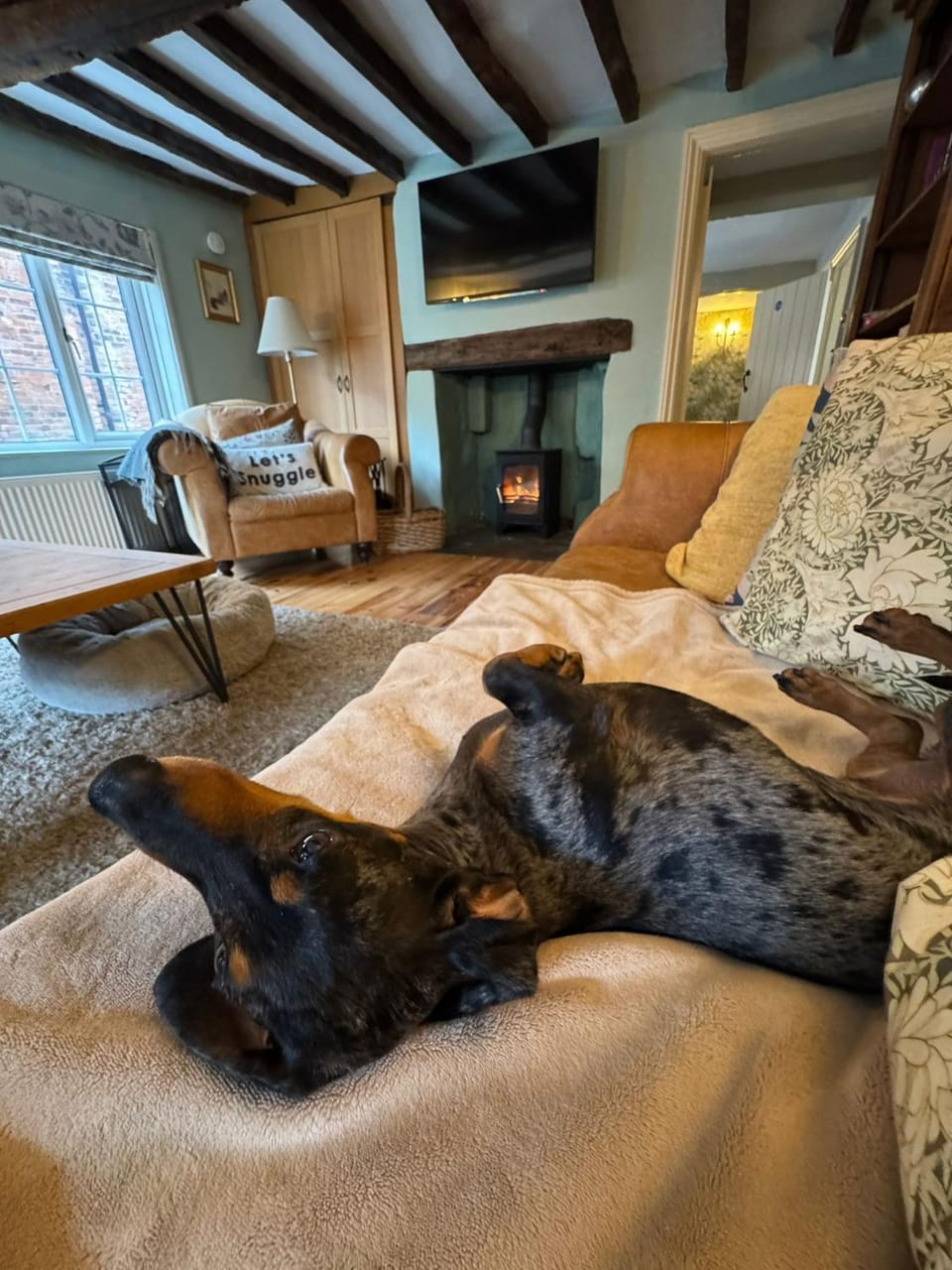 Communal lounge/ TV room, Winter, Pets, Pets, Entertainment, pet friendly, pet friendly