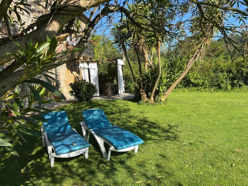 Natural landscape, Garden, Garden view, sunbed
