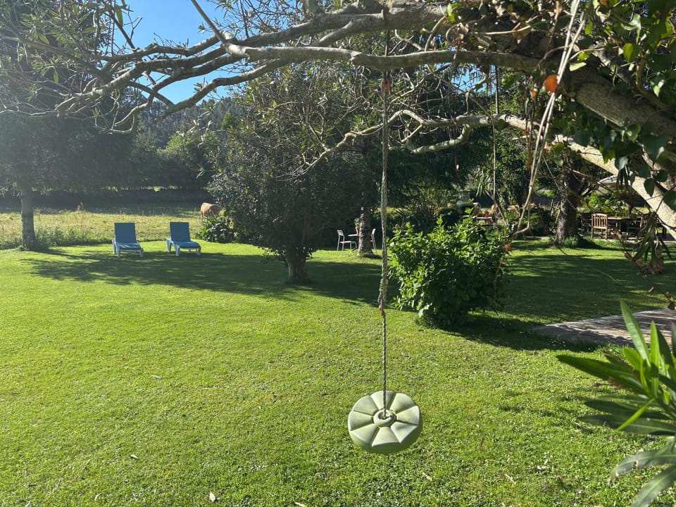 Natural landscape, Garden view