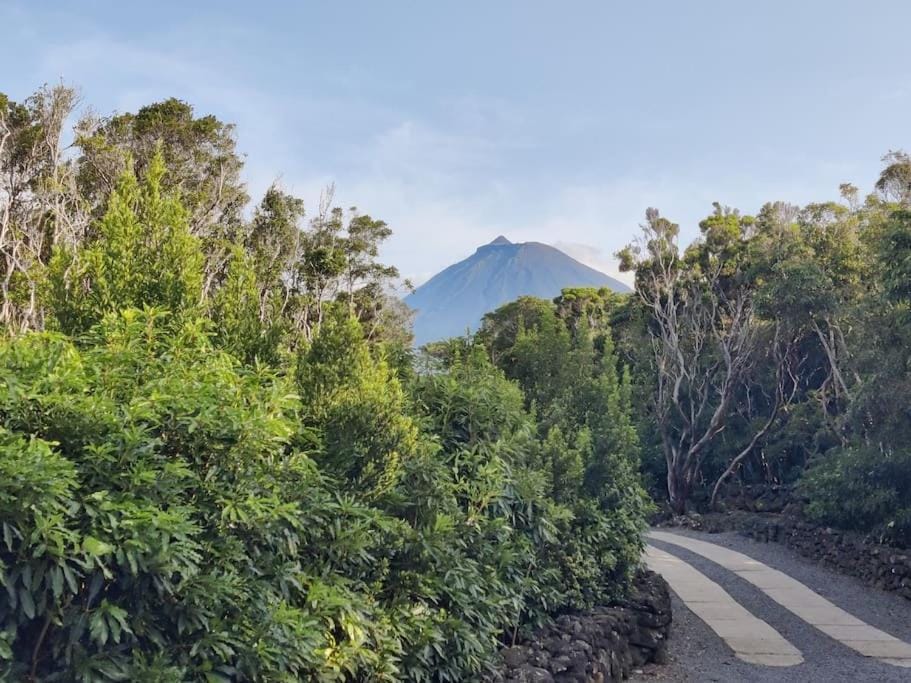 Pérola do Pico Villa in Azores District