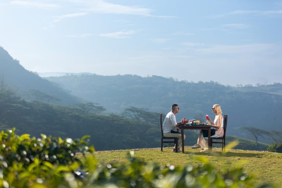 Natural landscape, Dining area, Guests, Mountain view