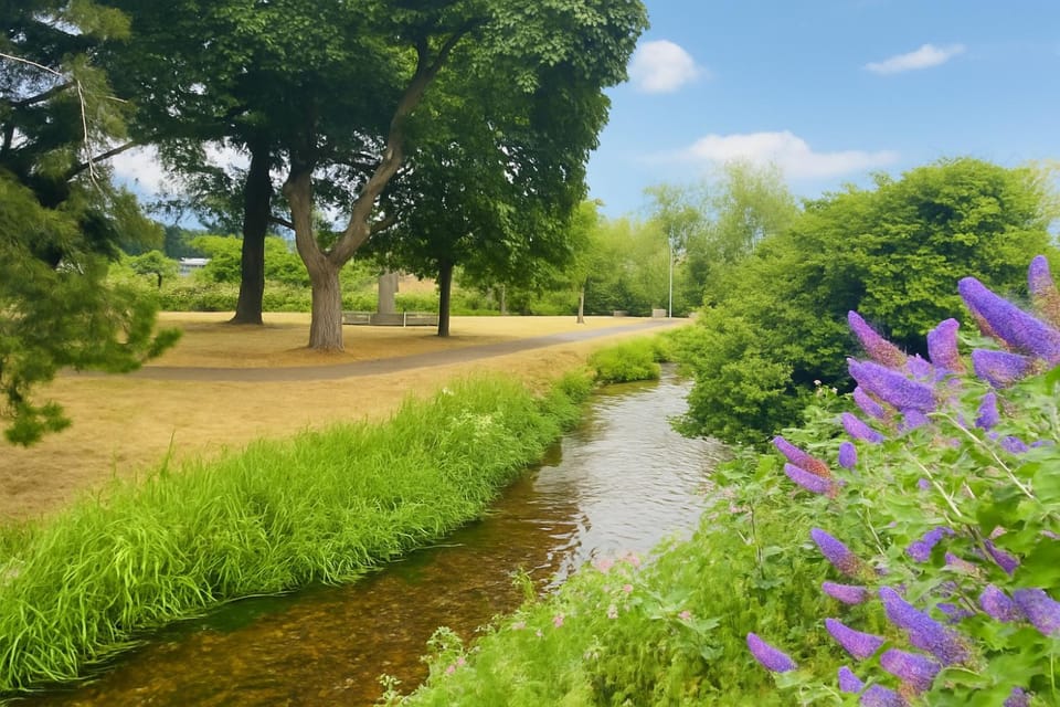 Spring, Natural landscape