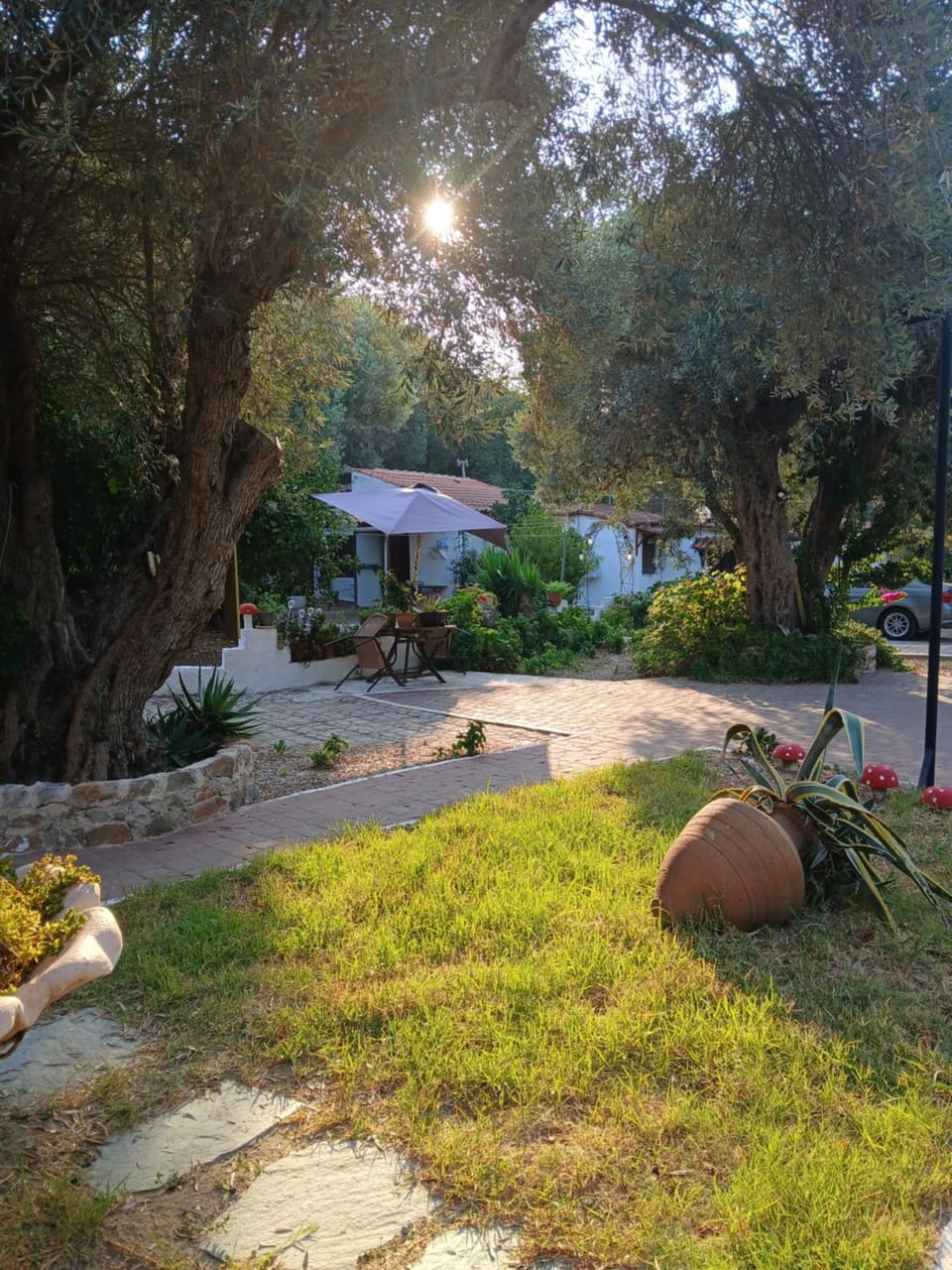 Daisy rooms Skiathos Apartment in Skiathos