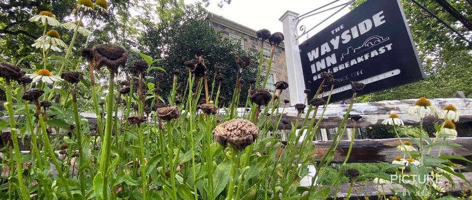 Wayside Inn Bed and Breakfast Bed and Breakfast in Ellicott City