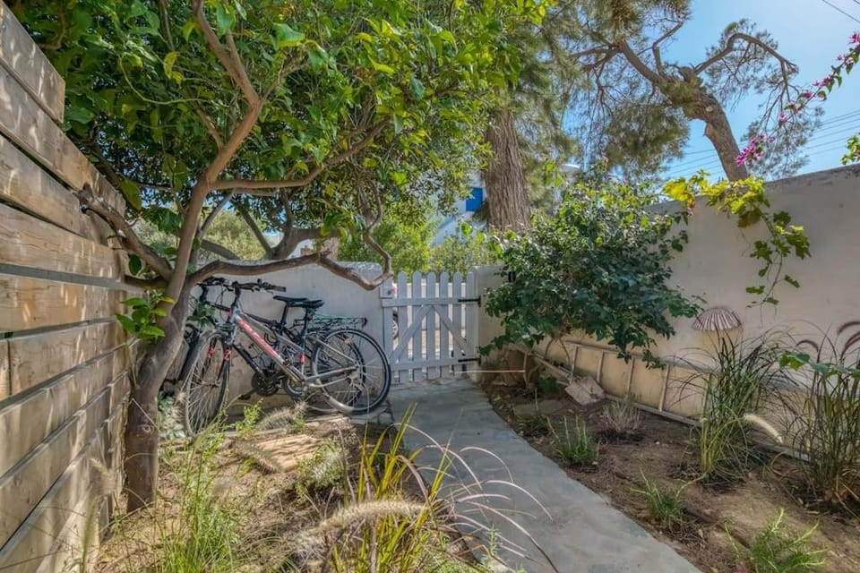 Day, Garden, Cycling, Garden view