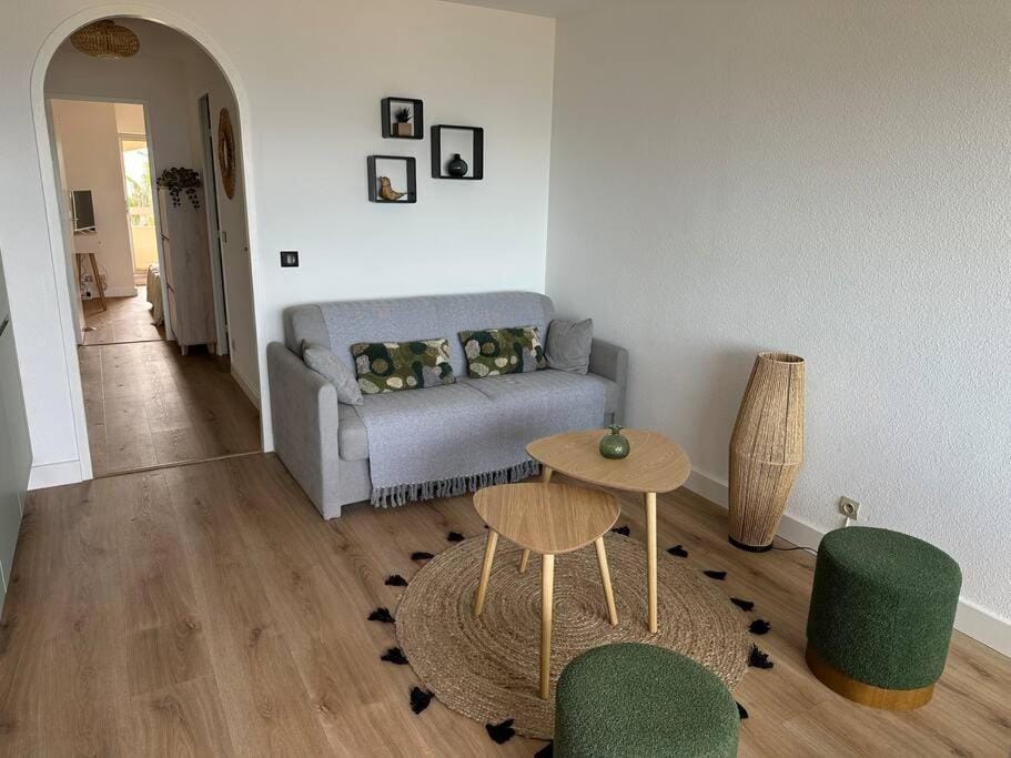 Appartement front de mer avec accès direct plage à St Cyprien Apartment in Saint-Cyprien
