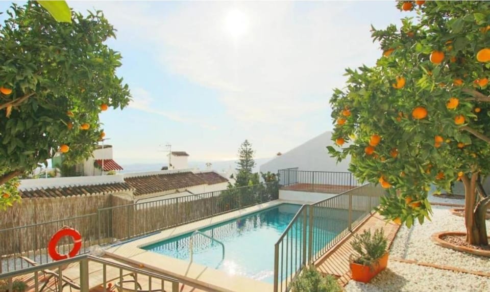 Day, Garden, Pool view, Swimming pool