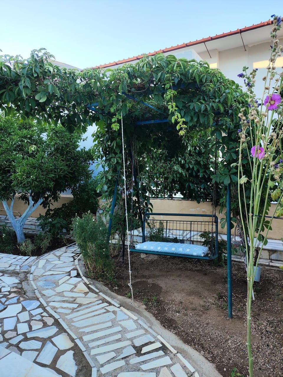 Facade/entrance, Garden