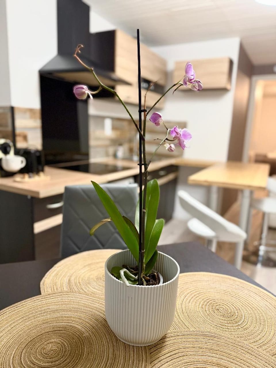 Appartement Neuf Apartment in Auvergne-Rhône-Alpes