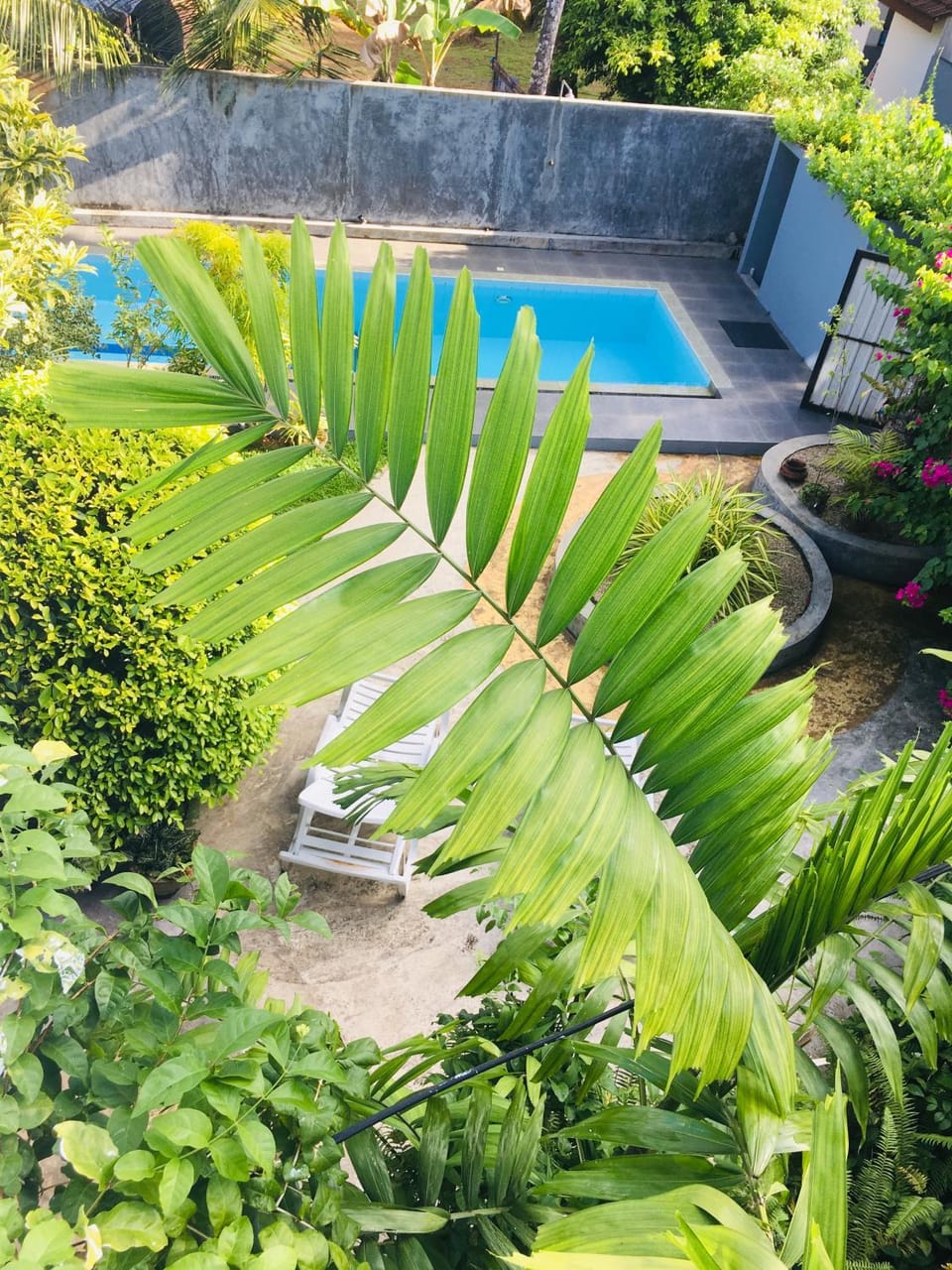Day, Garden, Garden view, Pool view, Swimming pool, sunbed