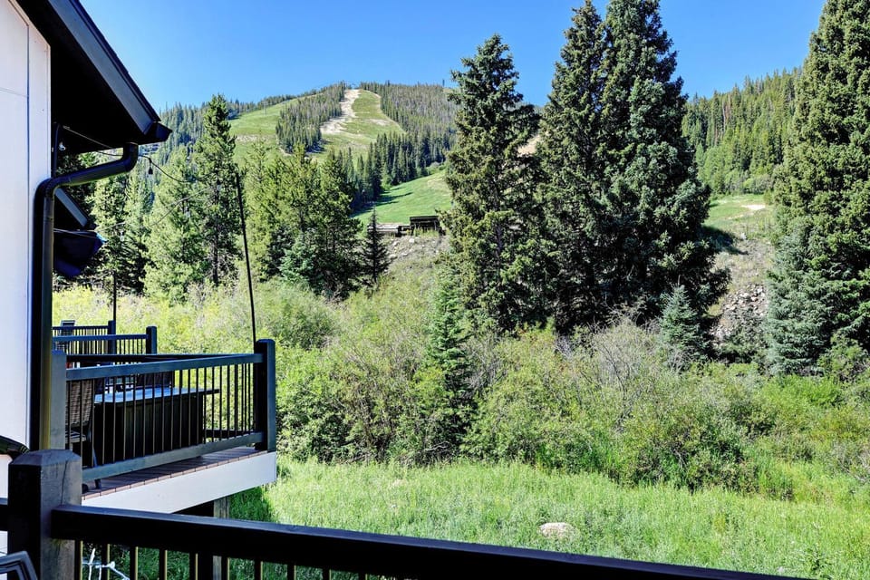 Summer, View (from property/room)