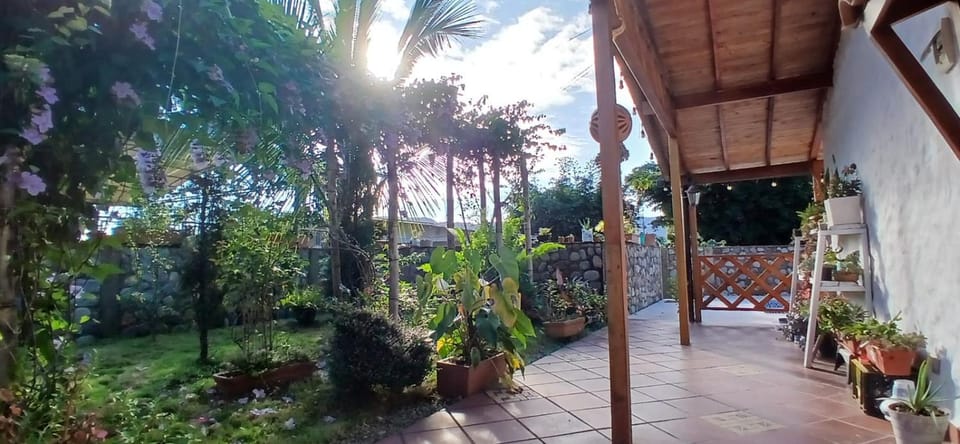 Patio, Day, Garden, Garden, Garden view