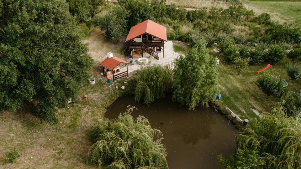 Cabana Petersdorf House in Romania